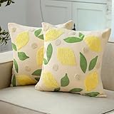 HunnmingRe 2 Pcs Lemon Embroidered Pillow Covers 18 x 18 Inch Summer Fruit Jacquard Decorative Pillow Covers, Green Leaf and Lemon Farmhouse Soft Plush Pillowcase for Sofa Bed