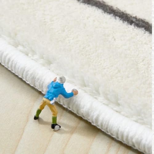 Tapis de salon doux et moelleux pour isoler le sol du froid