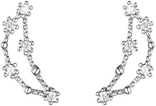 Clearine 925 Sterling Silver CZ Horoscope Zodiac Constellation Astrology Climber Stud Earrings, Post with Friction Back