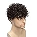 Daiaces Mens Curly Wigs Dack Brown Short Wig,Synthetic Heat Resistant Costume Wig Mens Daily Cosplay Party Halloween