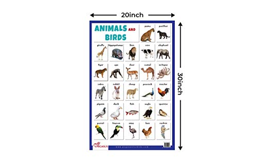 Animals & Birds - Thick Laminated Educational Chart