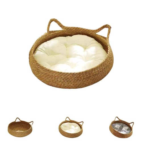 LIVIALxbh Lpxbh ^ ybg\t@ \tg ybgpxbh NbV 􂦂 LQ  v _炩 lG ʔN^Cv (LlXg{Rbgpbh,Mi38*13cmj)