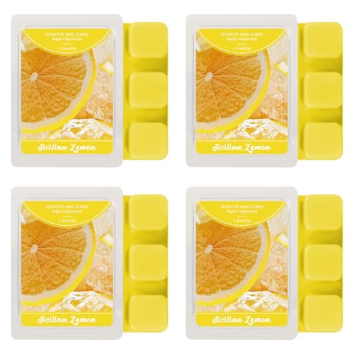 SCENTORINI Wax Melts, Warm Fireplace Scented Wax Melts, Pack of 4, Natural Soy Cubes for Candle Making, Wax Warmer, Home Christmas Decoration Warm Fireplace - 4 Pack