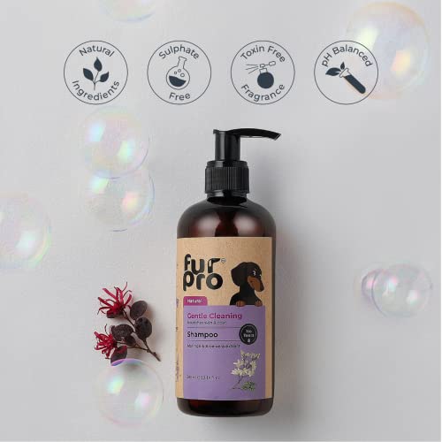 Image of Gentle Cleaning No Tear Shampoo for Dogs & Cats - Natural Shampoo with Aloe Vera for Sensitive Skin - Lavender Controls Bad Odour & Keeps Pets Calm - Moringa Prevents Skin Infection - 300ml