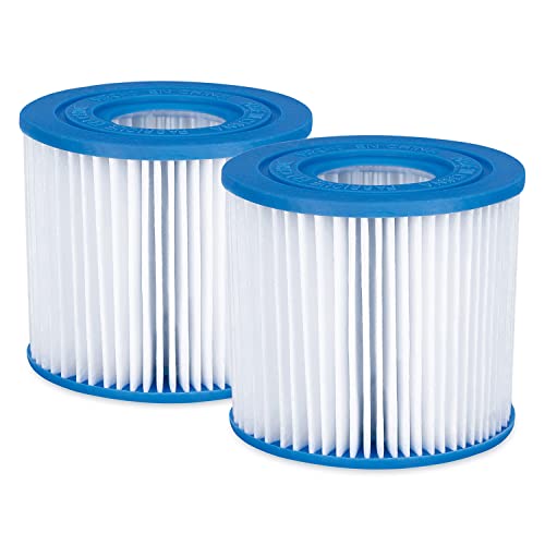 Funsicle Type D Filter Cartridge 2-Pack for Above Ground Pool Filter Pumps