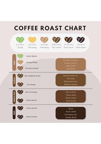 Image of Vaishnavi Estate's Medium Roast Robusta Coffee | Single Origin | Shade Grown | Freshly Roasted & Ground | Filter - (250g, Pack of 2)