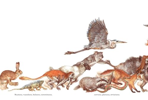 Il Corteo Degli Animali. Ediz. A Colori - 4