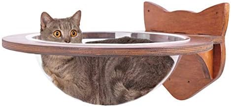 floating cat bed bubble