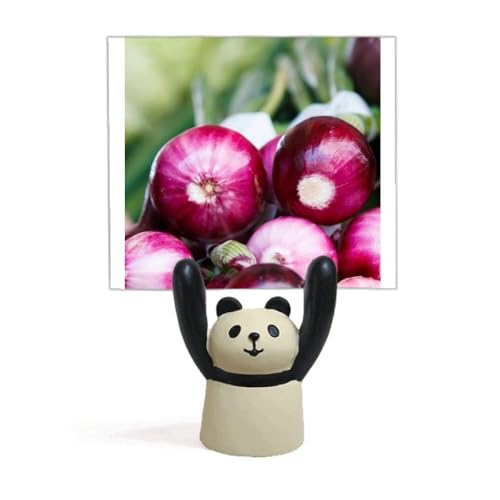Support pour oignon frais évite les coupures guide découpe panda lavable