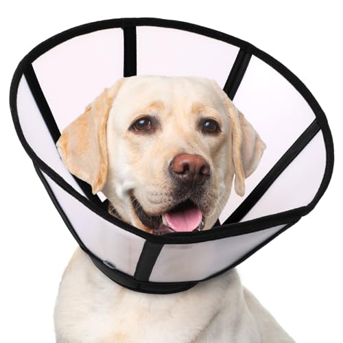 Image of Soft Dog Cone Collar Post Surgery, Detachable Dog Plastic Cone and Padded Neck Cover to Stop Licking, Recovery Elizabethan Collar for Small, Medium & Large Dogs