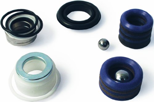 Graco 244194 Pump Repair Packing and Valves Kit for Airless Paint Spray Guns by Graco - Used condition - US$24.98