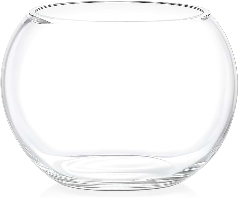 Vaso de Vidro Redondo Tipo Aquário 2,5L – Terrário Decorativo para Plantas, Suculentas e Arranjos