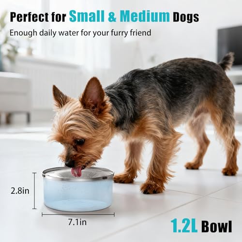 TONGKTAI Non Spill Dog Water Bowl, 1,2L Stainless Steel Dog Bowls, Splash-Free, Anti-Choking, Slow Feeding Pet Dishes for Small Mdium Dogs - Image 6