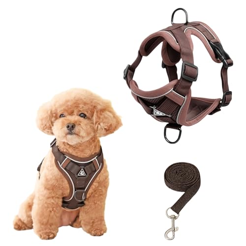 SOLMOONY Small Dog Harness,Soft Mesh Puppy Harness and Leash Set,No Escape Cat Harnesses for...