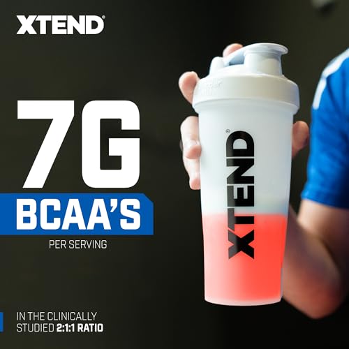 Image of Scivation XTEND Sport BCAA Powder Strawberry Kiwi Splash - Electrolyte Powder for Recovery & Hydration with Amino Acids - 30 Servings,(Pack of 2)