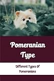  Pomeranian Type: Different Types Of Pomeranians