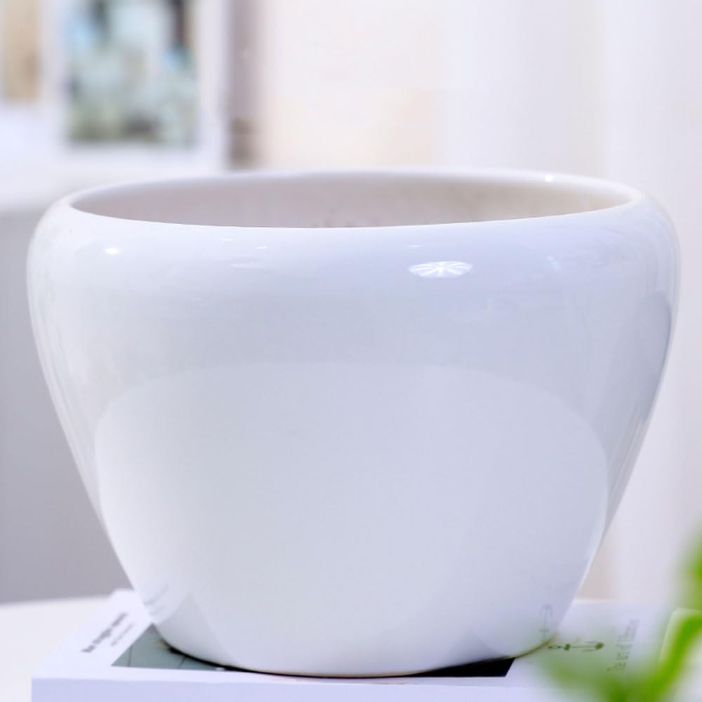 DFGHNBVC Ceramic Modern Glaze Succulent Planter Pot With Drainage Hole And Saucer 9 Inch Round Flower Plant Pot For Indoor Outdoor Herb Snake Plants,White