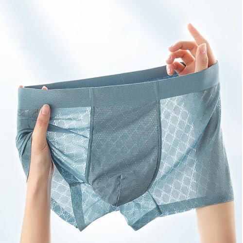 LARDROK Mens Ice Silk Boxer Briefs Breathable Seamless Underwear