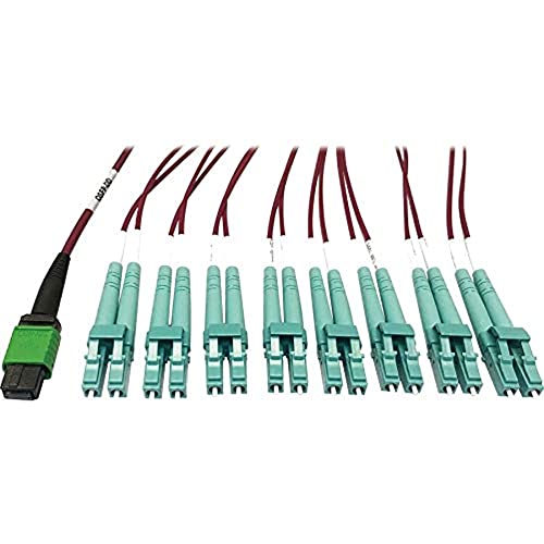 Tripp Lite 400Gb Ethernet Fiber Optic Cable, Multimode 50/125 Om4 Cable, Plenum Rated Breakout, 16F Mtp/Mpo-Apc To 8X Lc Duplex (F/M), 3M, Magenta (N846D-03M-16Emg) #TOP1