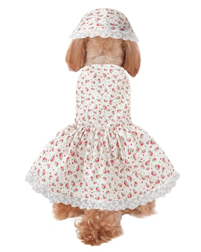 Disfraz de anciana para perro talla medium beige miniatura 4