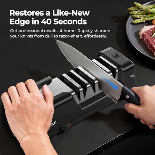 Dawnstar Electric Knife Sharpener, Precise 20° Diamond Knife Sharpener for Kitchen Knives, Quick Repairing in 40 Seconds, with Metal Dust Collection Box & Special Port for Scissors, Black — view 2