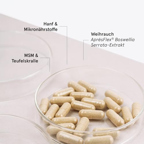 Gelenke Aktiv Kapseln | Apothekenqualität | Mit ApresFlex-Weihrauch, MSM und Teufelskralle-Extrakt | 100% vegan | Zum Erhalt der Beweglichkeit