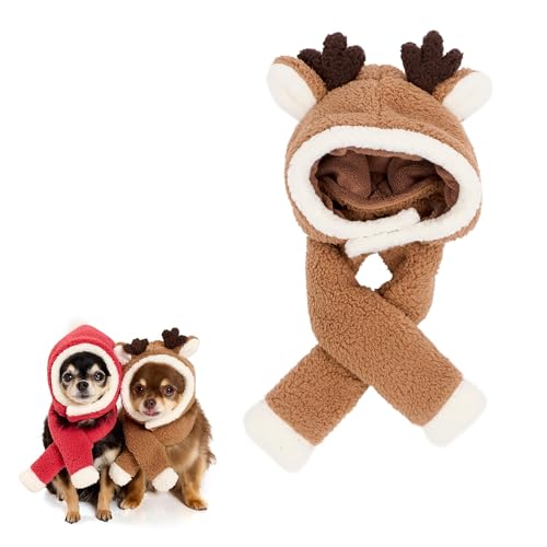 yLIFELIKEzNX}X}t[Lbv  L }t[ Xq Ԃ Cxg ps[ q 킢 j NX}X T^ giJC p hbO ybg  ^ ^  ̕ Be  LOʐ^ ʐ^Be 