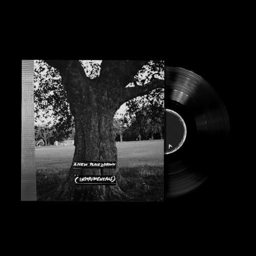 A New Place 2 Drown (Instrumentals) [輸入盤LP] (XL1575LP)_2523 [Analog] by Archy Marshall — album cover