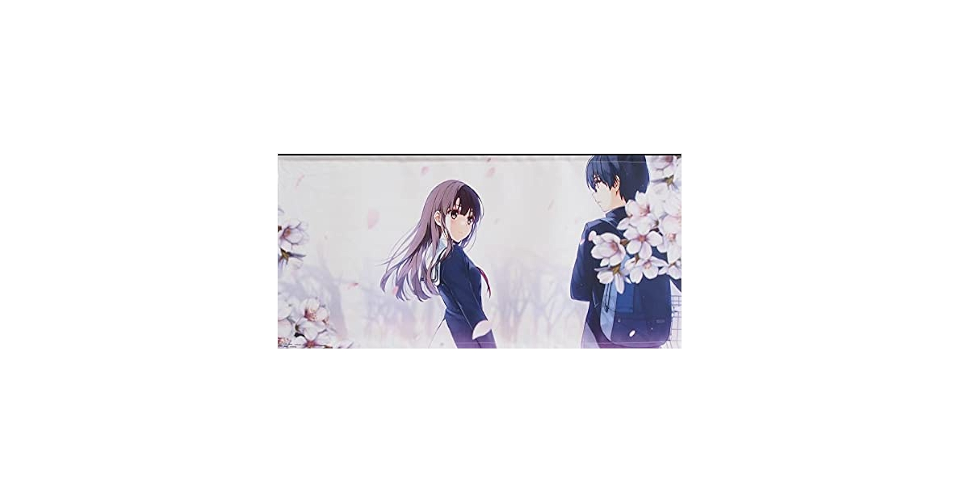 Amazon.co.jp: タペストリー 加藤恵＆安芸倫也 タペストリーA