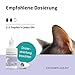 KATZENPFLEGE24 Ohrentropfen für Katzen gegen Ohrmilben, Juckreiz & Ohrentzündungen 50ml - Natürliche Sofortwirkung inkl. sanfter Ohrenpflege für Katzen - Ohrmilben Katze