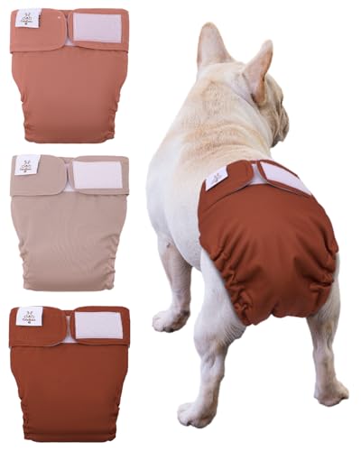 Image of CuteBone Washable Dog Diapers Female No Tail Hole 3 Pack Reusable Doggie Period Training Pants for Docked-Tail Frenchie French Bulldog Boston Terrier Without Tail WWD22L