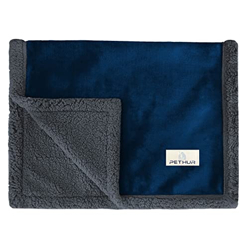 Pethur Waterproof Dog Blanket For Small Dog, Small Cat Blanket Washable For Couch Protection, Sherpa Fleece Puppy Blanket Reversible, Blue Gray, S #TOP6