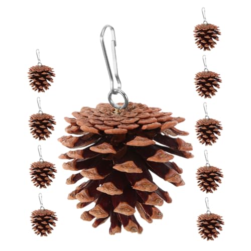 GALPADA 10 Rȏڂ p p ^p p