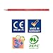 Staedtler Watercolor Pencils, Box of 12 Colors (14410NC12)