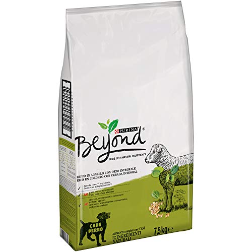 Purina Beyond Pienso Natural para Perro Adulto Cordero y Cebada Integral 7,5 Kg