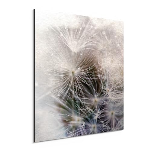 DEQORI Alu-Dibond Bild Detailaufnahme Pusteblume silber gebürstet bedruckt | 50x50 cm | Aluminiumverbund – modernes Wandbild für Innen- & Außenbereiche mit toller Bildwirkung & leichter Montage