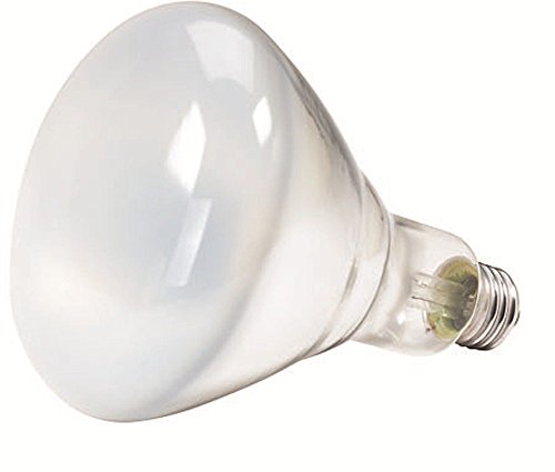 Philips Br40 Flood Light Bulb, Non-Dimmable, 630 Lumen, Soft White Light (2710K), 65-Watt, E26 Medium Base, 12-Pack #TOP1