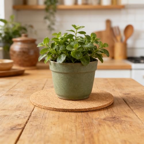 12 Stück Korkuntersetzer, 10cm, 3 mm Dick, Runde Holz Untersetzer-Set, Gläser Kork rutschfeste Untersetzer für Zuhause KüChe Wohnzimmer Schlafzimmer BüRo Café Oder Bar Hitzebestaendig Wiederverwendbar