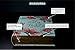 NIV, Artisan Collection Bible, Cloth over Board, Teal Floral, Designed Edges under Gilding, Red Letter, Comfort Print