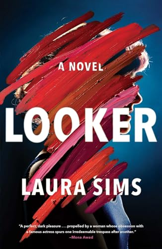 Looker view 2