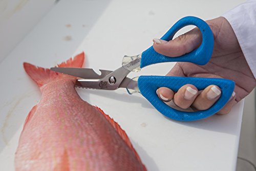 Foto von Cuda Cuda zerlegbare Fischschere