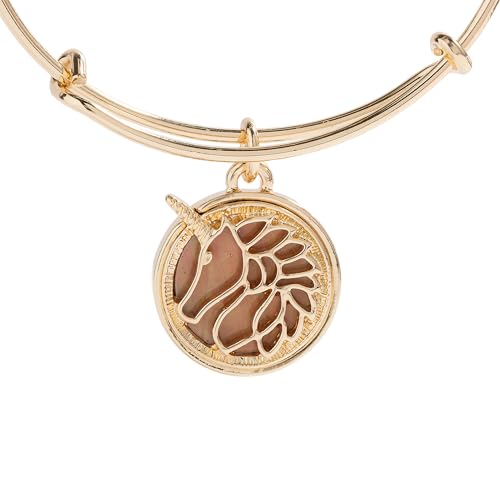 Alex and Ani AA963824TT:EWB2