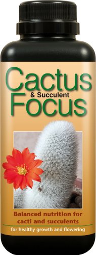 Cactus and Succulent Focus 500ml