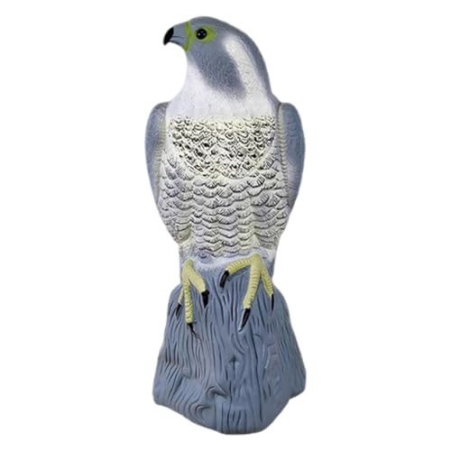 Fiocias �K�[�f���C�[�O���I�[�i�����g ��̒ʘH�≮�O�Ɏg���閜�\�K�[�f���f�R���[�V����