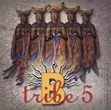 B-Tribe 5 - coolthings.us