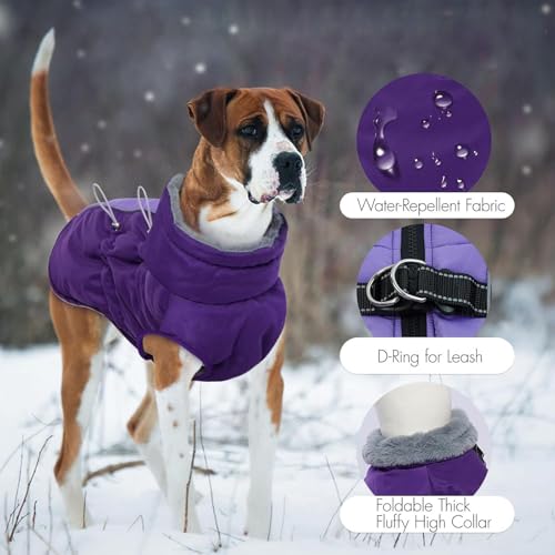 Manteau isolant pour chien protégeant du vent et du froid