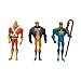 DC Universe Exclusive Justice League Unlimited Fan Collection Action Figure 3Pack Adam Strange, Animal Man Star Man