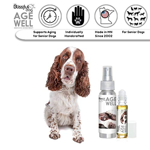 Image of The Blissful Dog Springer Spaniel Age Well Dog Aromatherapy Roll-On Bottle for Your Dog's Peaceful Ageing