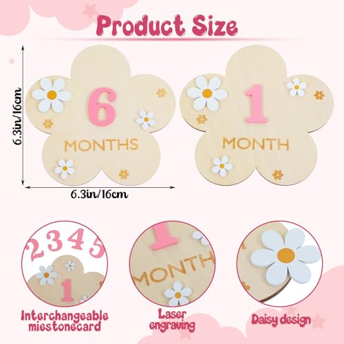 Image of 3D Baby Monthly Milestone Markers Disc, Milestone Wooden Circles for Baby Photos, Babies Announcement Sign, Babies Months Signs, 1-12 Month Milestones Cards