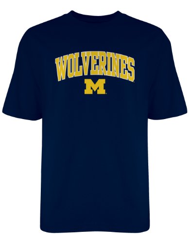 NCAA Michigan Wolverines Old Varsity/Gildan T-Shirt, Navy, Large